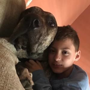 Meet your Posher, Dani